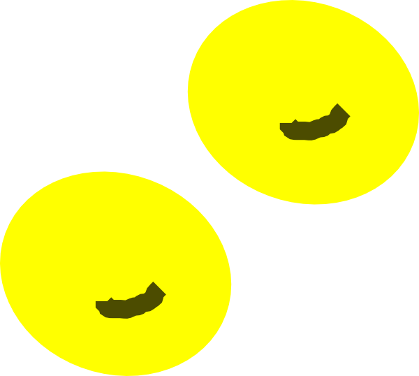 Circle Clipart (600x538), Png Download