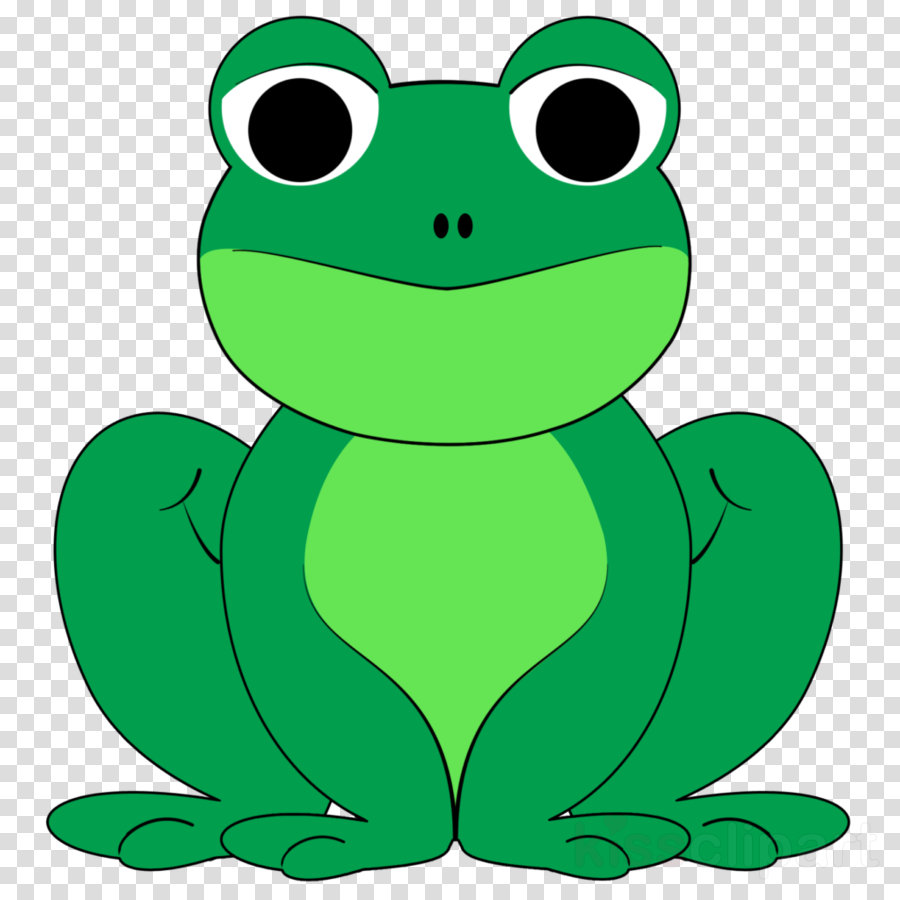 Frog Png Clipart Frog Clip Art - Cute Frog Clipart Png Transparent Png (900x900), Png Download