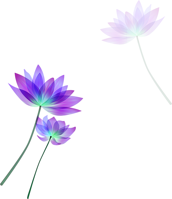 [ Img] - Lotus Vector Free Download Clipart (650x753), Png Download