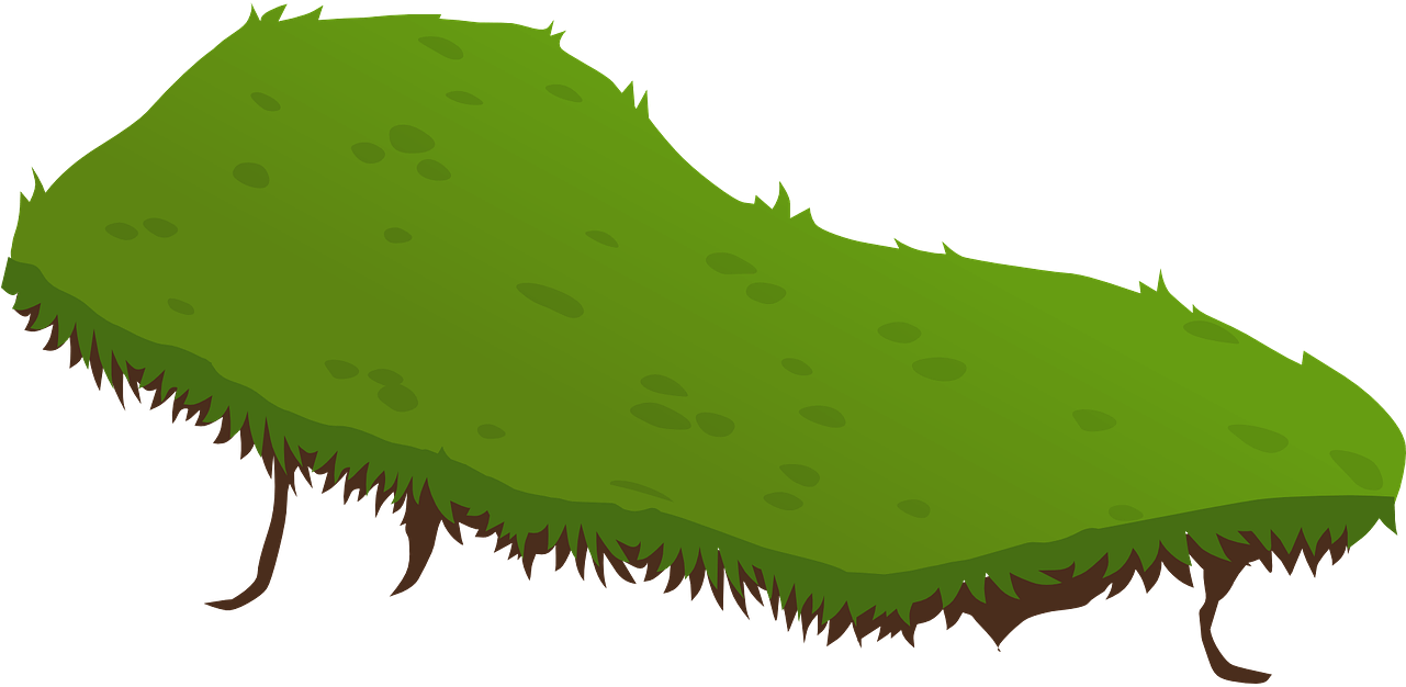 Yükle Terrain Grass Green Field Png Image - Terreno Png Clipart (1280x640), Png Download