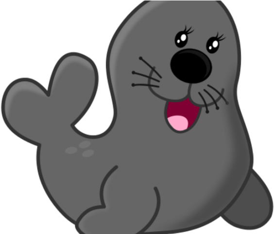 Sea Lion Clipart - Baby Seal Shower Curtain - Png Download (640x480), Png Download