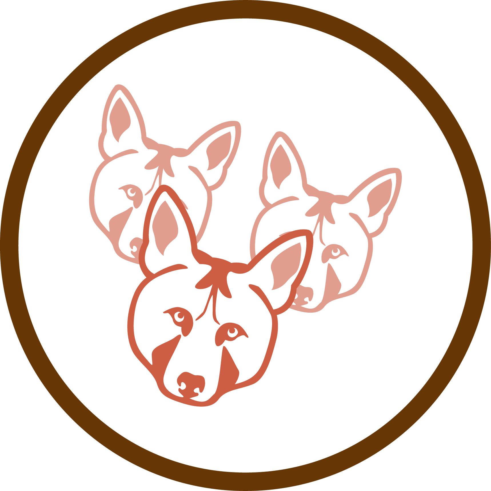 Survival And Population Size Estimates Of The Red Wolf Clipart (1718x1718), Png Download