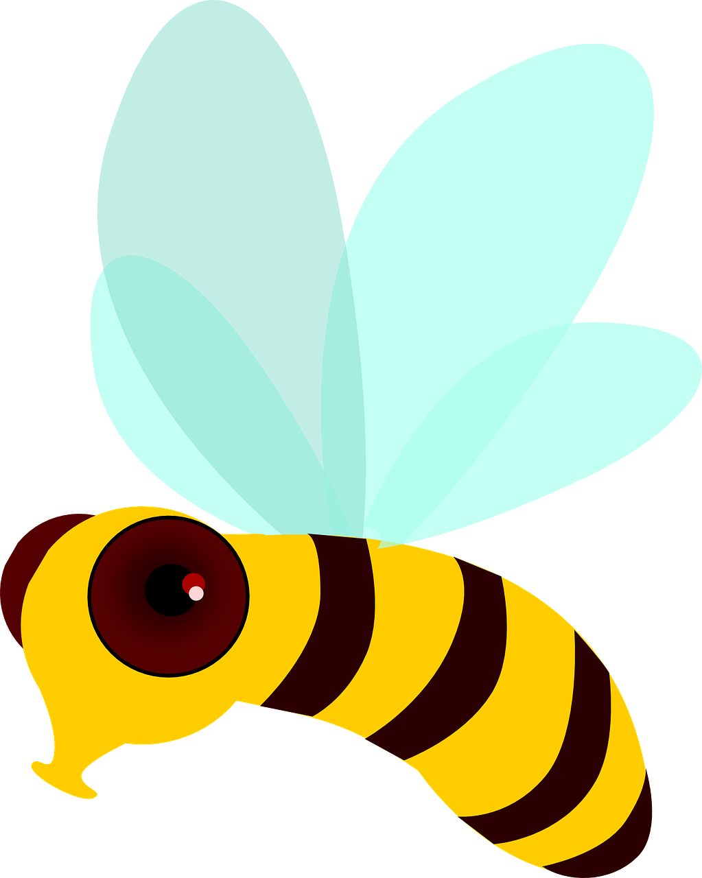 Cartoon Honey Bee Hive 24, Buy Clip Art - ผึ้ง บิน Png Transparent Png (576x720), Png Download