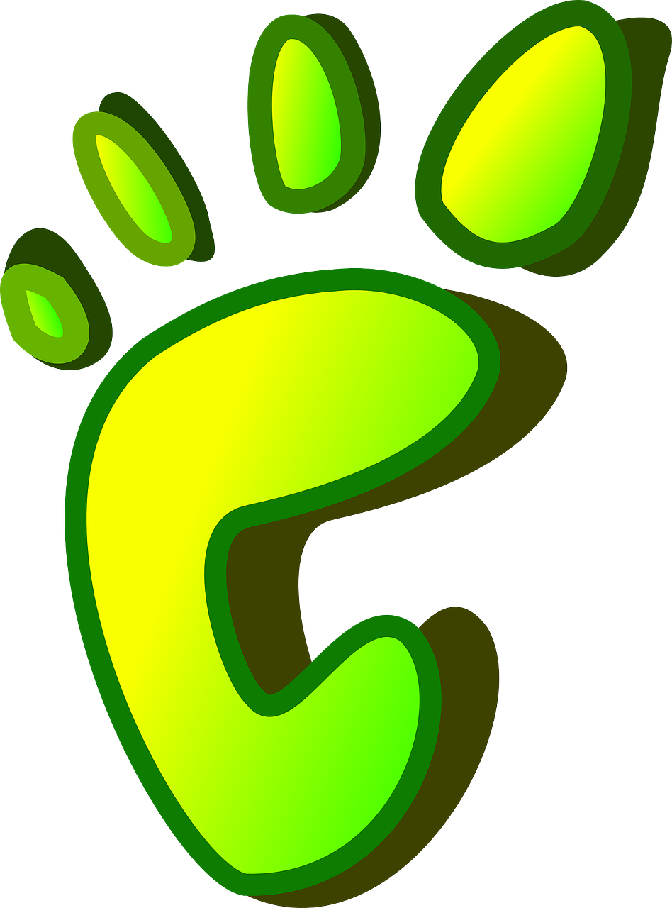 Collection Of Bigfoot Footprint Clipart - Clip Art - Png Download (533x720), Png Download
