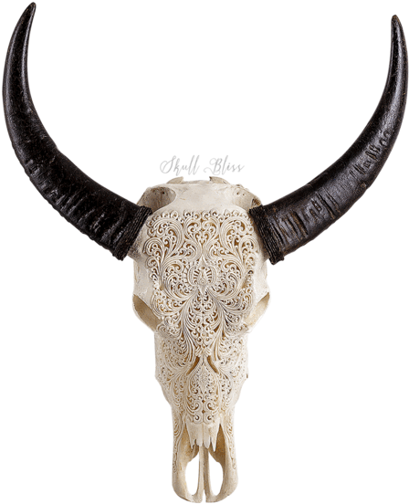 Carved Buffalo Skull - Skull Clipart (600x600), Png Download