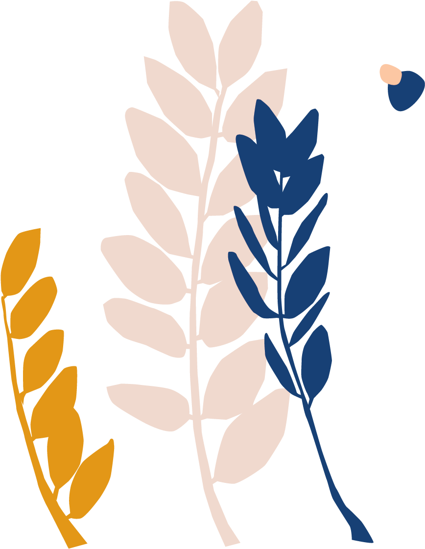 Bloomscape Zz Plant - Illustration Clipart (961x1306), Png Download