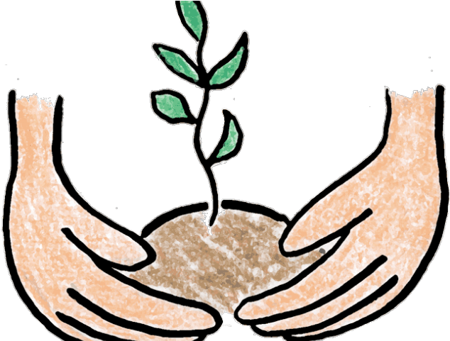 Pot Plant Clipart Baby - Tree Planting Clip Art - Png Download (640x480), Png Download
