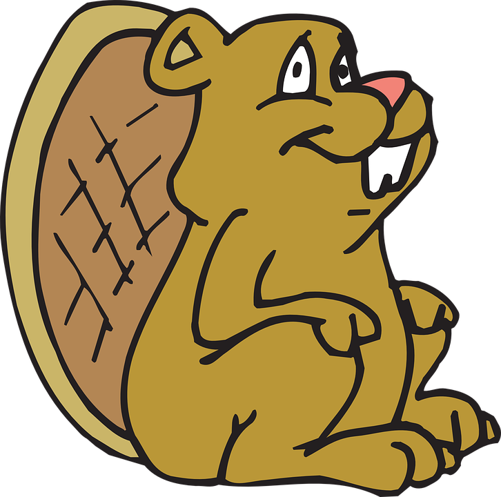 Woodland Squirrel Cliparts 27, Buy Clip Art - Beaver Coloring Page - Png Download (726x720), Png Download