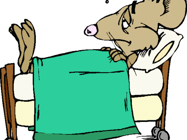 Sick Clipart Free Clipart On Dumielauxepices Net - Clipart Sick Rat - Png Download (640x480), Png Download