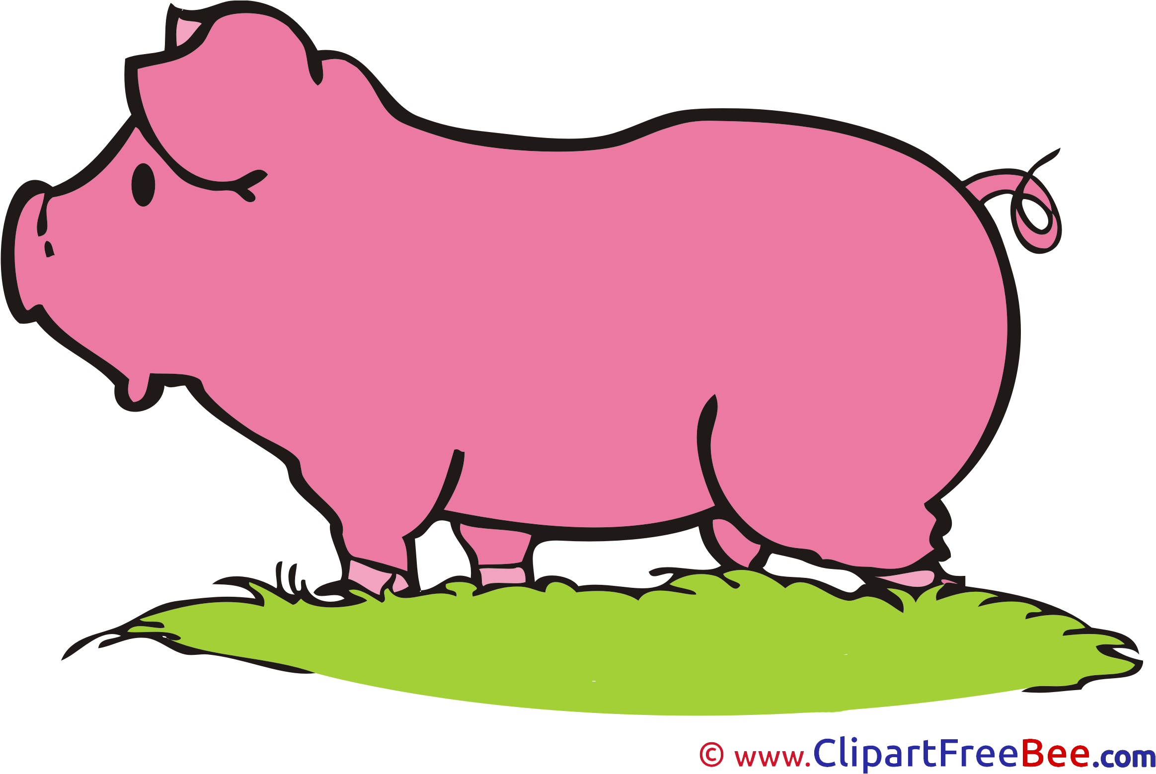 Grass Clipart Illustration - Png Download (2494x1701), Png Download