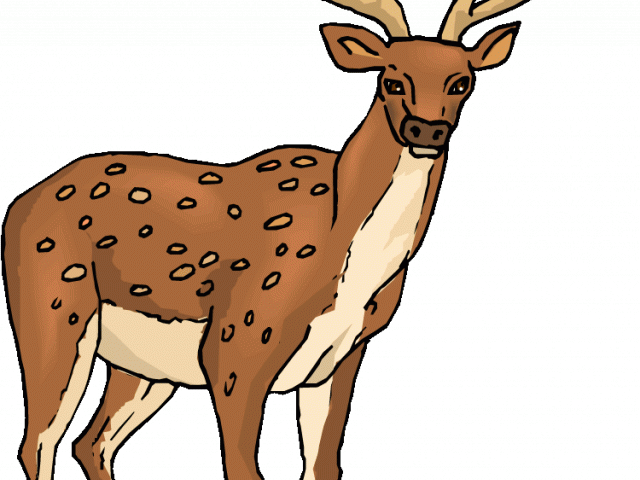 Deer Clipart Spotted Deer - Deer - Png Download (640x480), Png Download