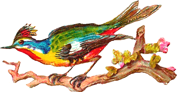 Myriad 20clipart Clipart Panda Free - Portable Network Graphics - Png Download (831x506), Png Download