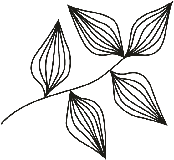 Sprig - Sketch Clipart (696x696), Png Download