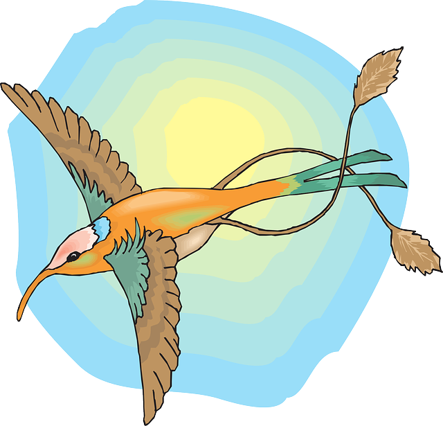 Feathers Sun, Sky, Bird, Wings, Hummingbird, The, With, - Sun And Birds Png Clipart Transparent Png (640x615), Png Download