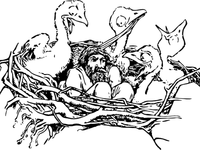 Nest Clipart Sketch Bird - Bird Nest Drawing - Png Download (640x480), Png Download