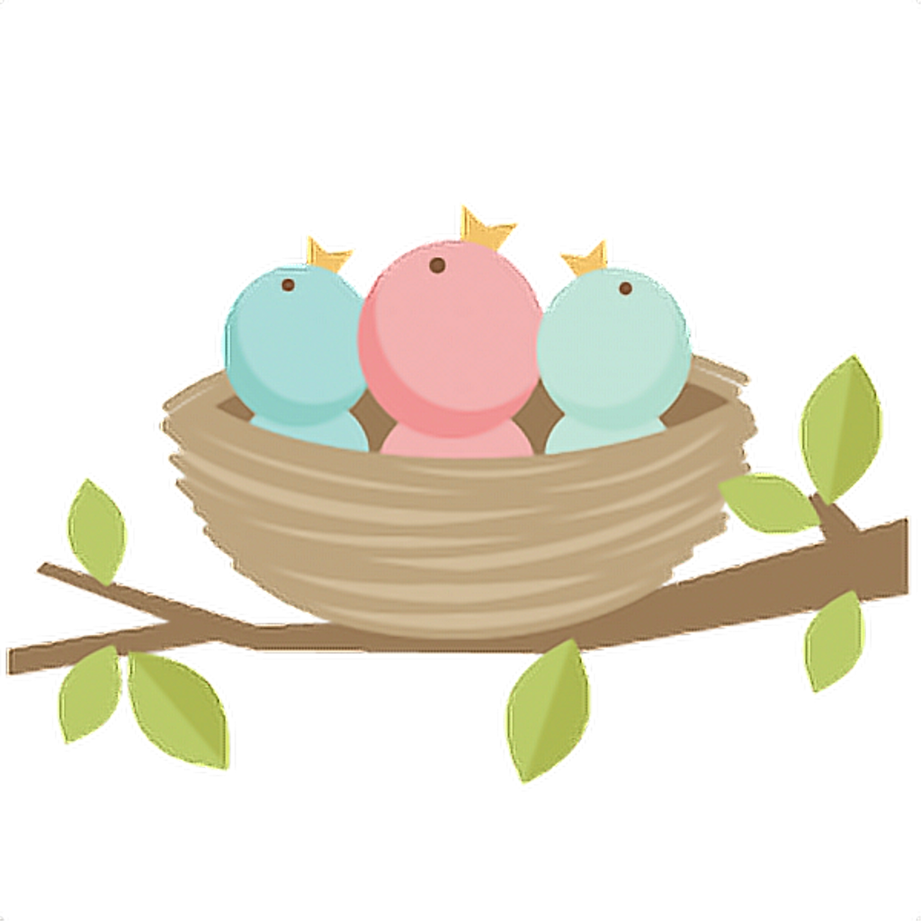 Bird Birds Kawaii Tumblr Ftestickers - Bird Nest Clipart Png Transparent Png (1024x1024), Png Download