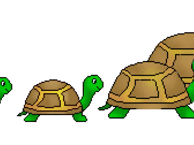 Turtle Clipart Family - Turtle Clip Art - Png Download (640x480), Png Download