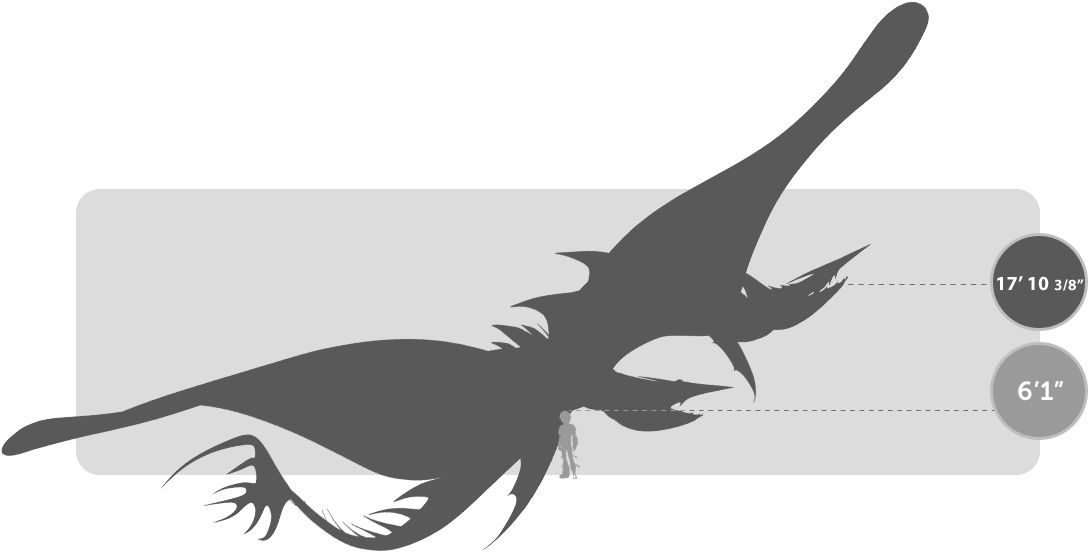 Explora - Shock Marino Dragon Clipart (1314x608), Png Download