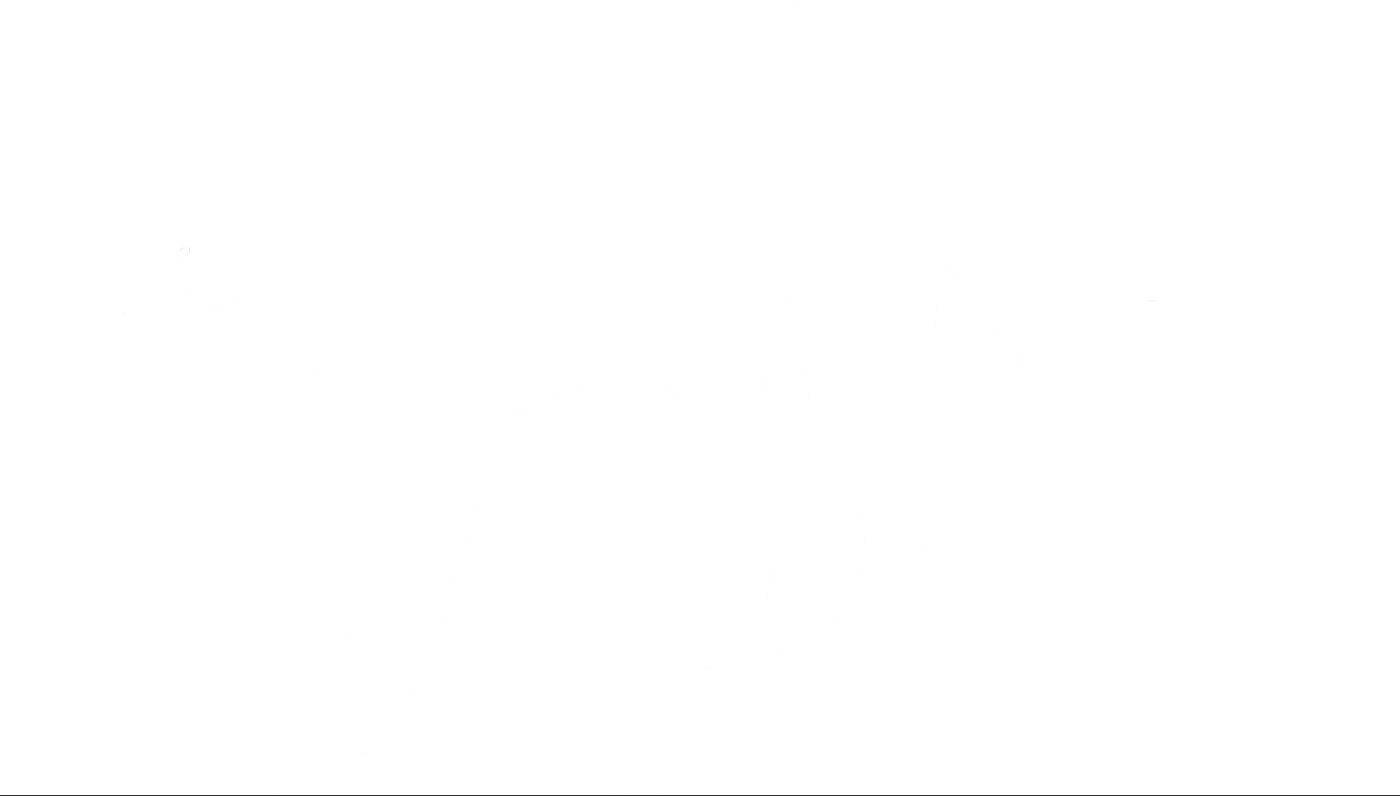 Panthera Pardus - Elephant Clipart (1400x796), Png Download