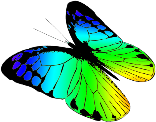 Butterfly Clipart - Clip Art Free Butterfly - Png Download (591x591), Png Download