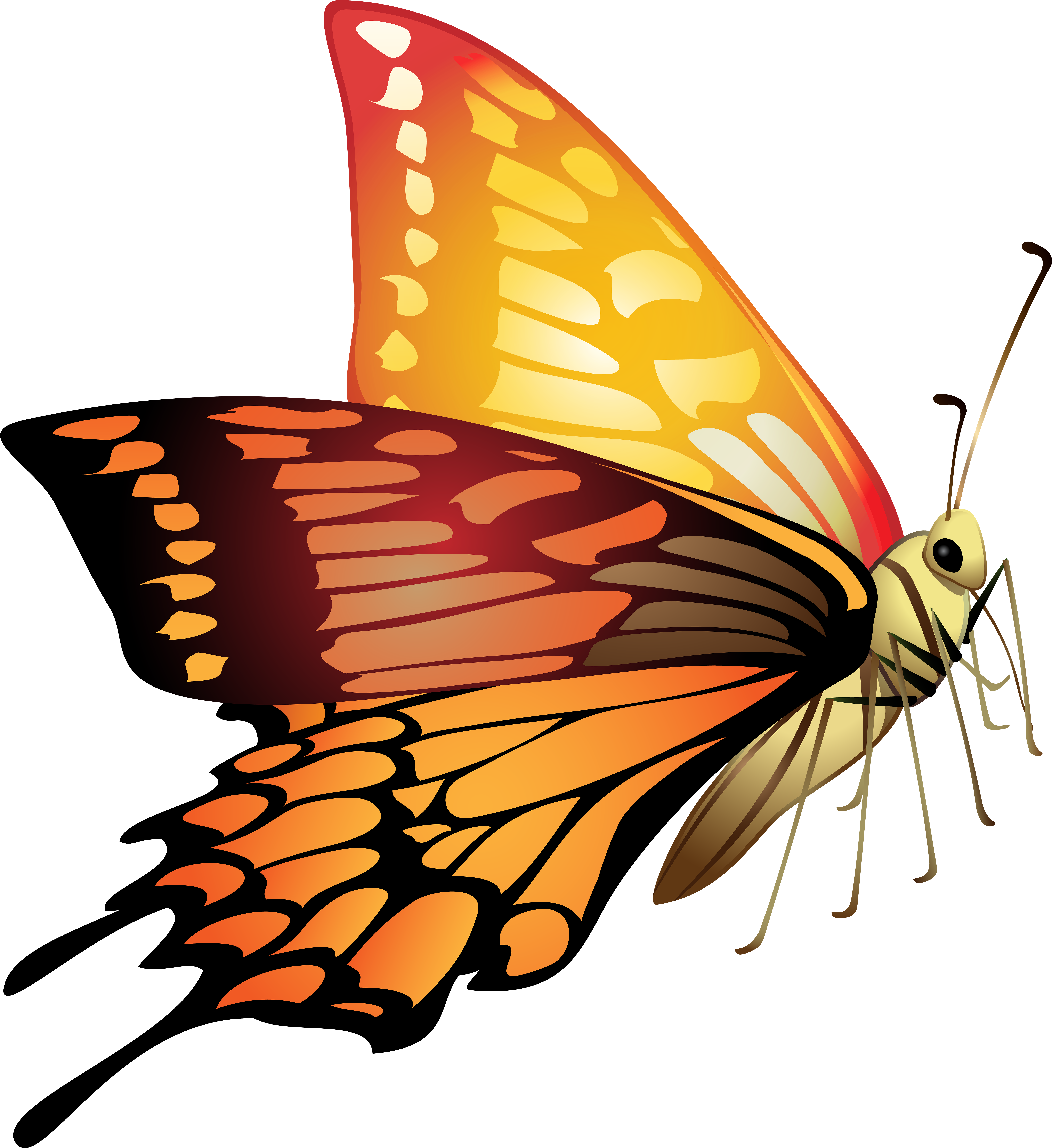 Orange Butterfly Clipart - Png Download (7331x8000), Png Download