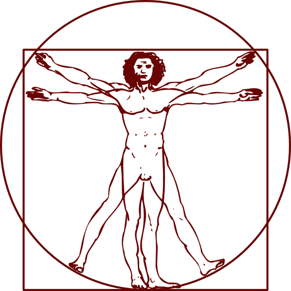 Vitruvian Man Clipart - Vitruvianischer Mensch - Png Download (600x600), Png Download