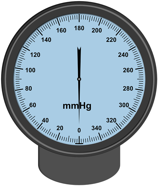 Blood Pressure Cliparts 5, Buy Clip Art - Gestosi In Gravidanza Sintomi - Png Download (646x720), Png Download