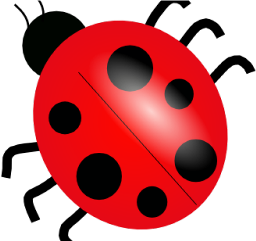 Ladybug Clipart Public Domain - Dibujo De Una Mariquita - Png Download (640x480), Png Download