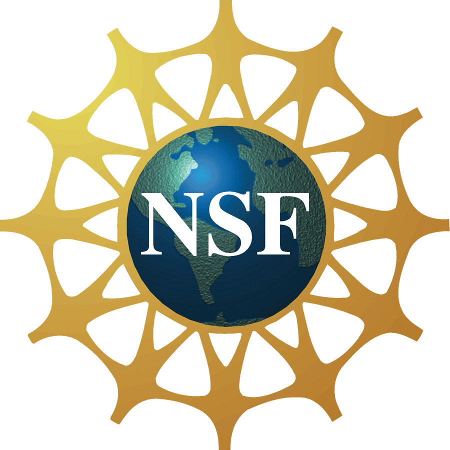 Nsf Reu Logo Clipart (900x900), Png Download