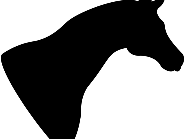 Trick Or Treat Clipart Horse - Horse Head Silhouette Png Transparent Png (640x480), Png Download