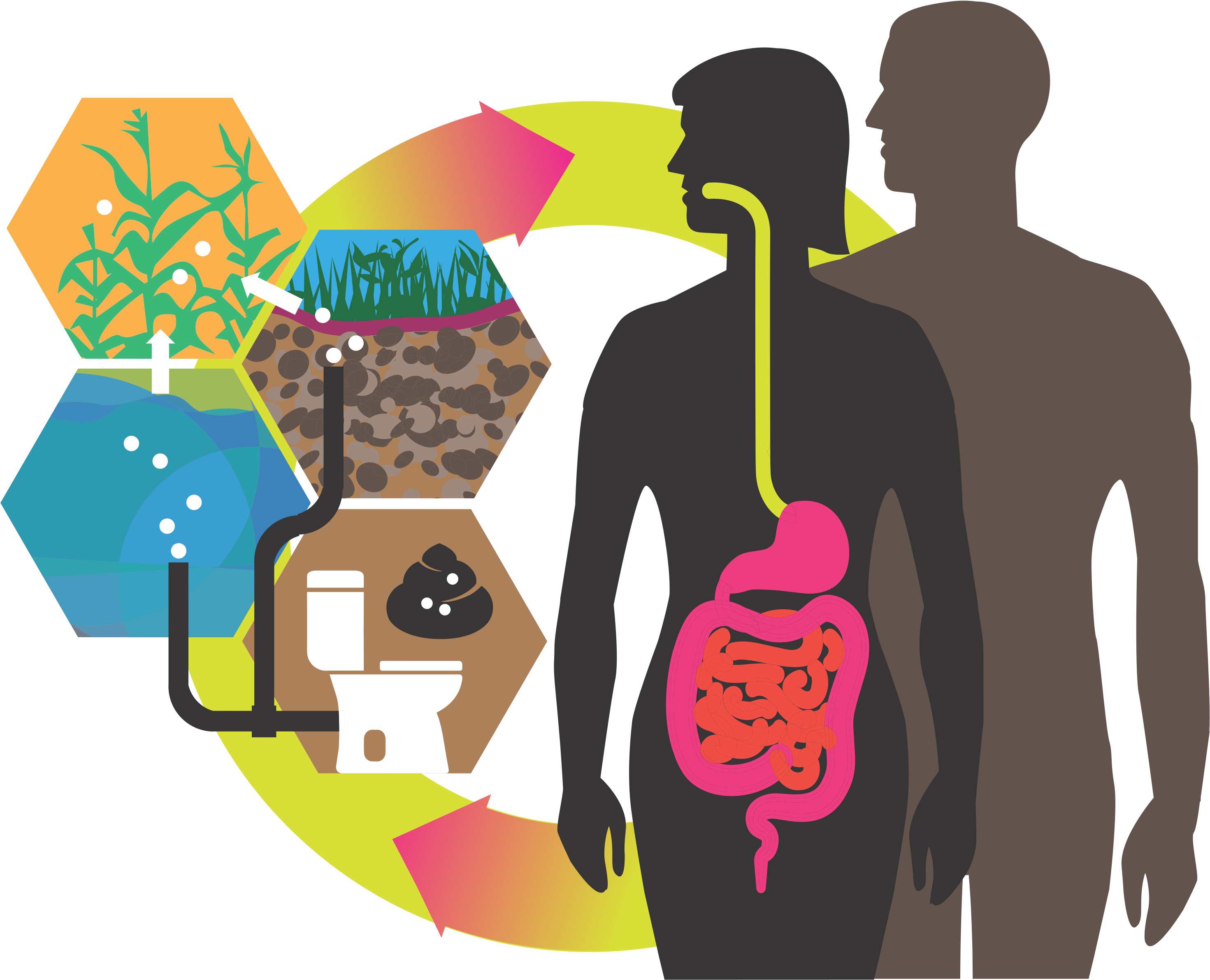 Ascaris Lumbricoides - Graphic Design Clipart (3450x3450), Png Download