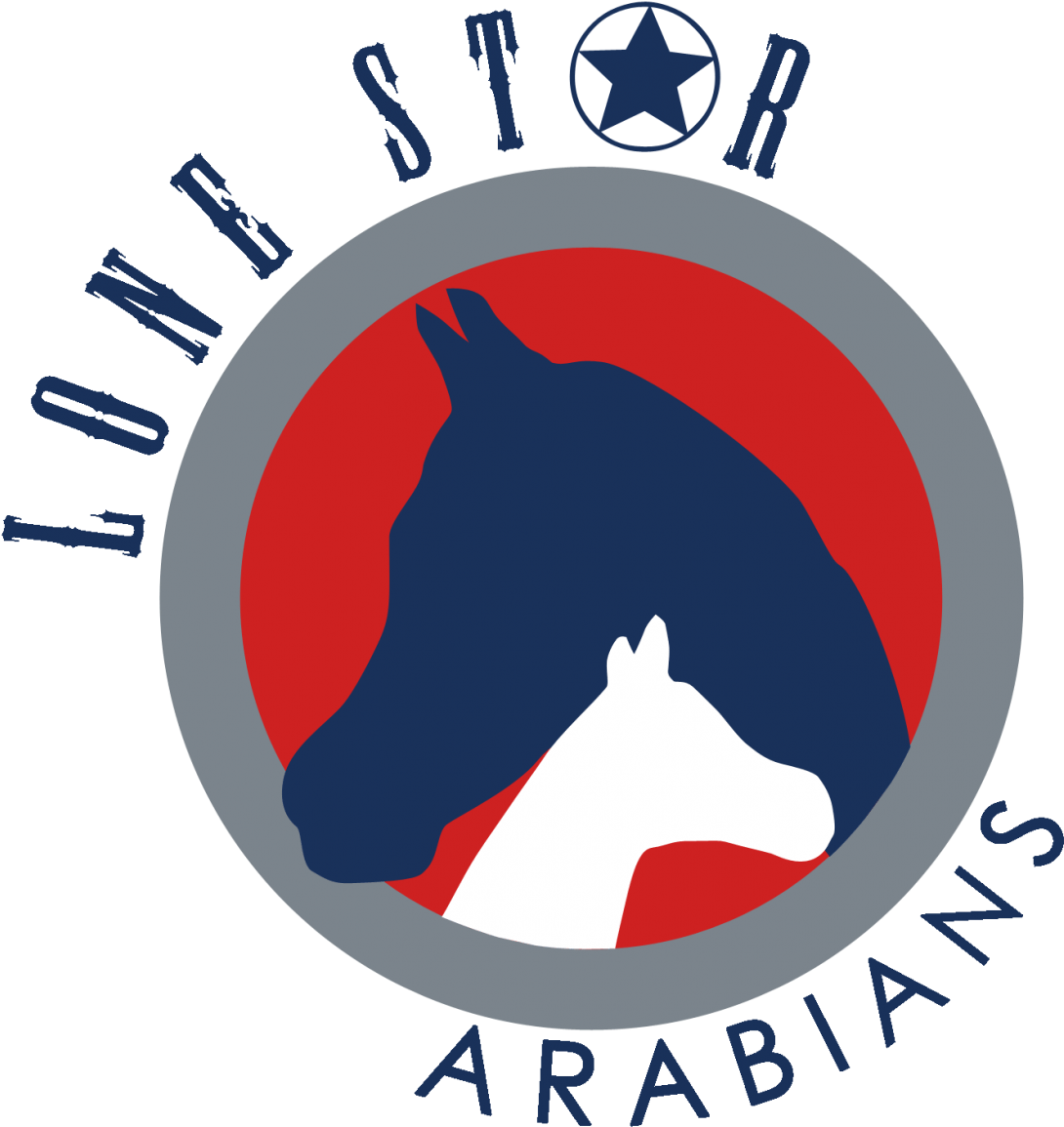 Lone Star Arabians, Llc - Matic Vesel Clipart (764x800), Png Download
