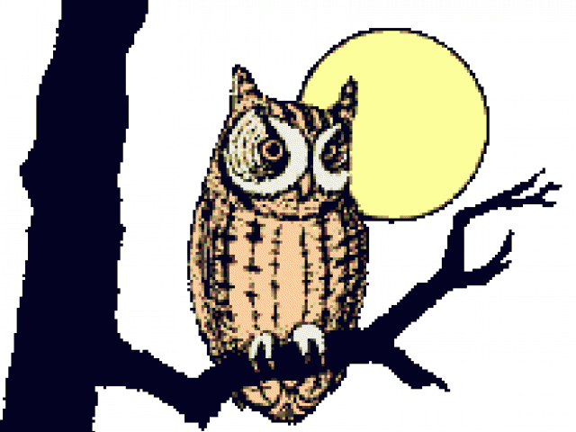 Animated Clipart Owl - Wise Old Owl Gif - Png Download (640x480), Png Download