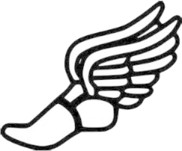 Basketball - Draw A Running Shoe Clipart (768x768), Png Download