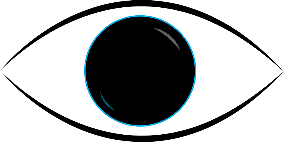Collection Of Free Vector Eye - See Vector Clipart (960x482), Png Download