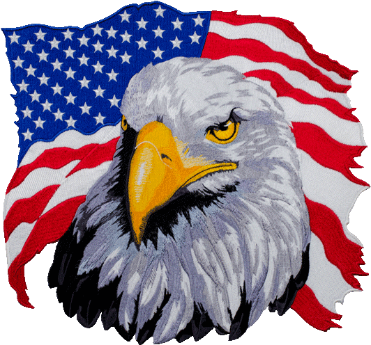 Download American Flag Eagle Png Clipart (#1355164) - PinClipart