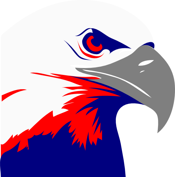 Bald Eagle Clipart Bald Eagle Clip Art - Eagle Face Clipart Png Transparent Png (588x595), Png Download