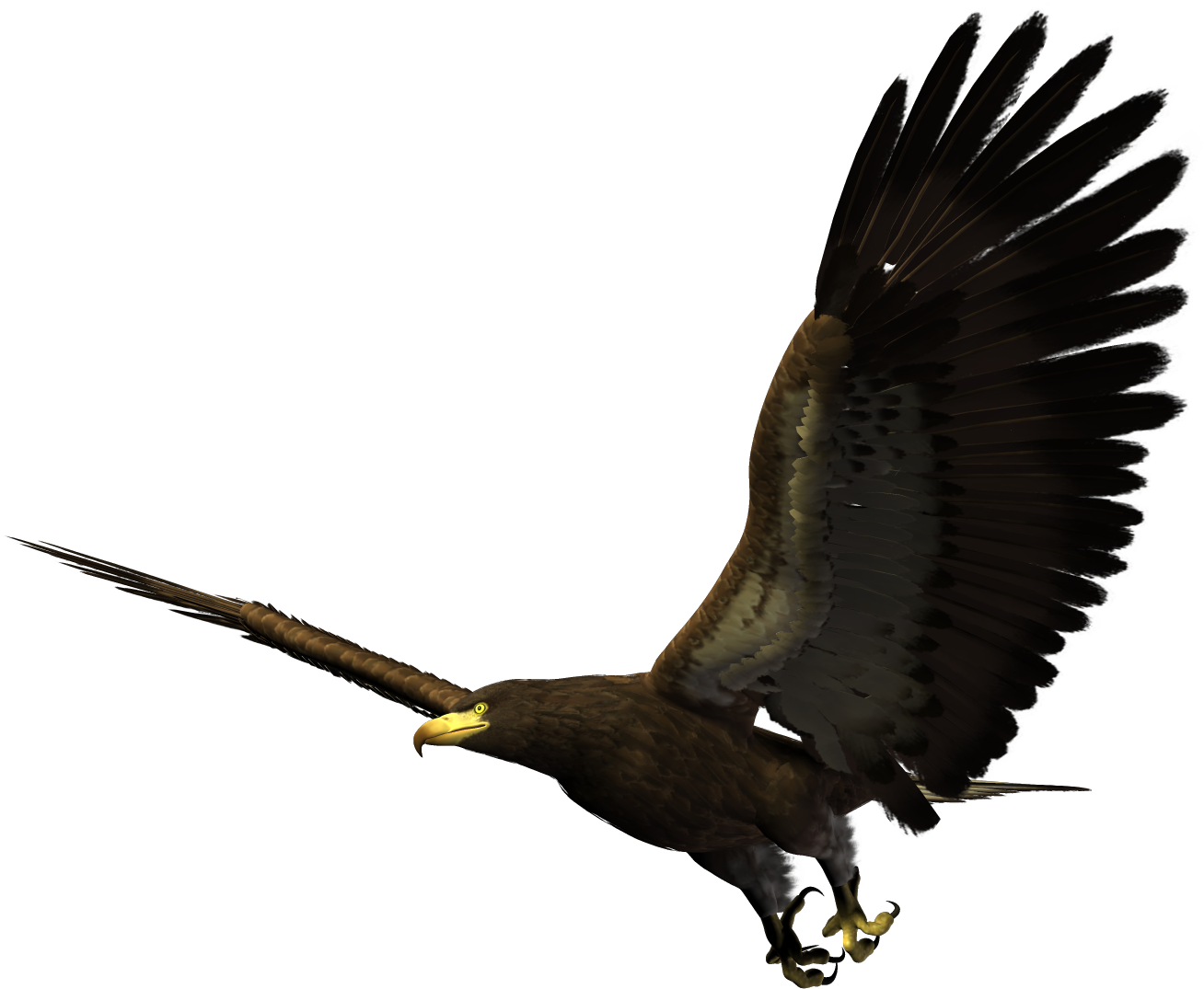 Hawk Flying Png Clipart (1481x1200), Png Download