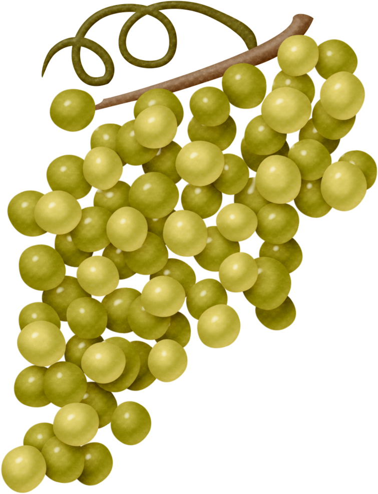 Comida, Frutas Bebidas Etc - Balloon Clipart (768x1024), Png Download