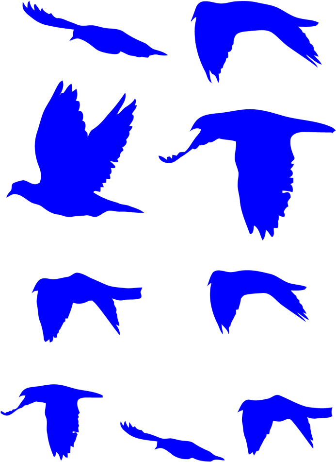 Flying Doves Decal Pack - 10in X 3in I'd Rather Be Bird Spotting Magnet Magnetic Clipart (1030x1030), Png Download