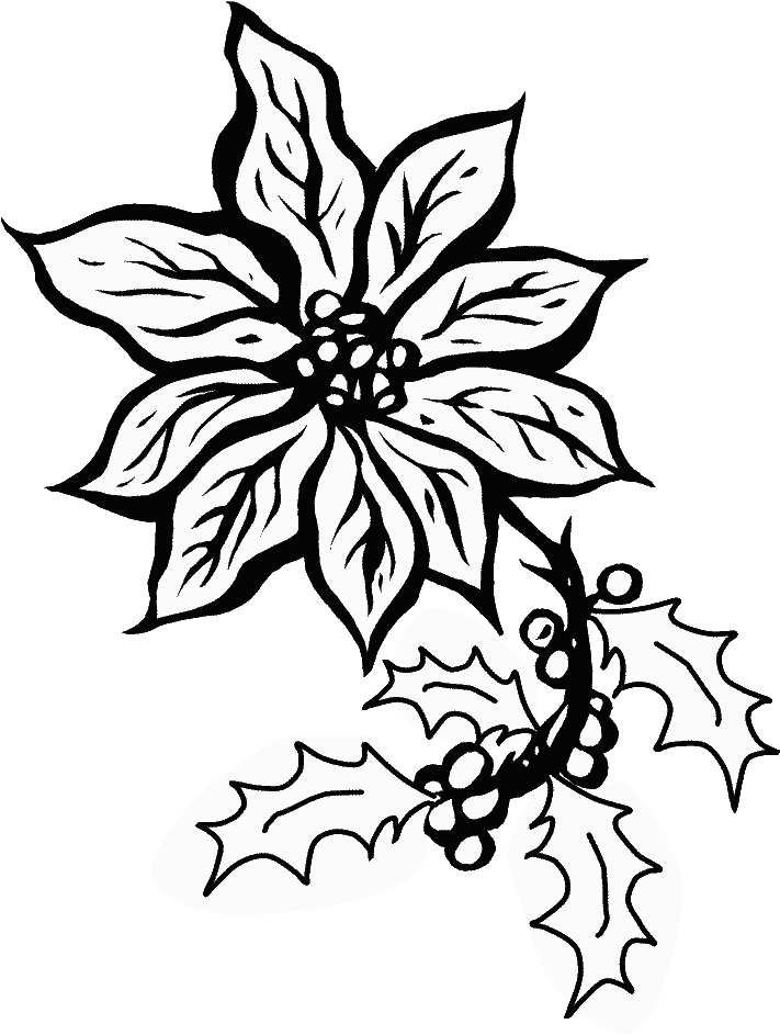 Poinsettia5 Holidays Coloring Pages - Poinsettia Coloring Pages Clipart (718x957), Png Download