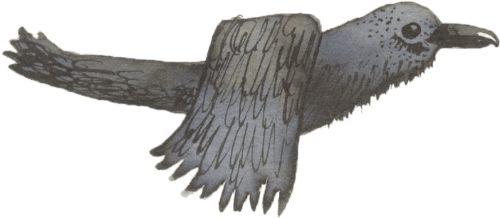 Raven Clipart (1000x1000), Png Download