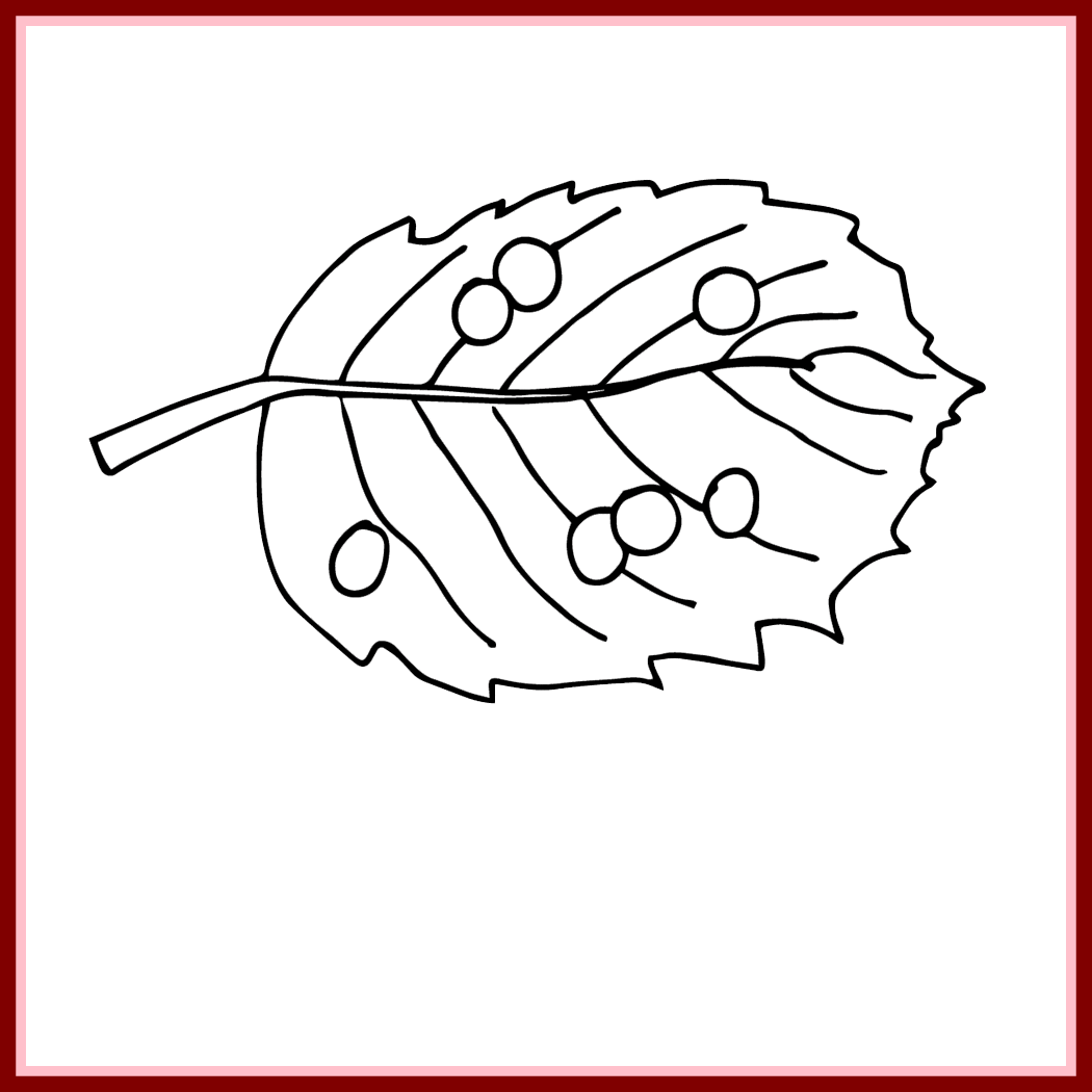 Incredible Vintage Butterfly Image Nice For Eggs Clipart Drawing Of