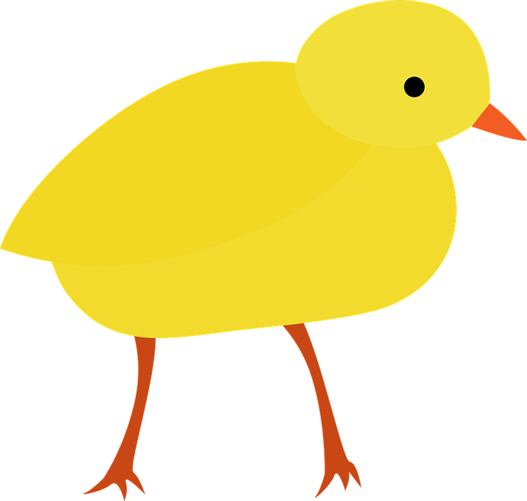 Easter Chick Clipart 9, Buy Clip Art - Civciv Png Transparent Png (757x720), Png Download