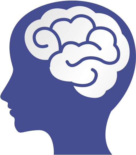 Neuroscience Is The Science Of The Brain And Looks - Mental Health Brain Clipart - Png Download (524x596), Png Download