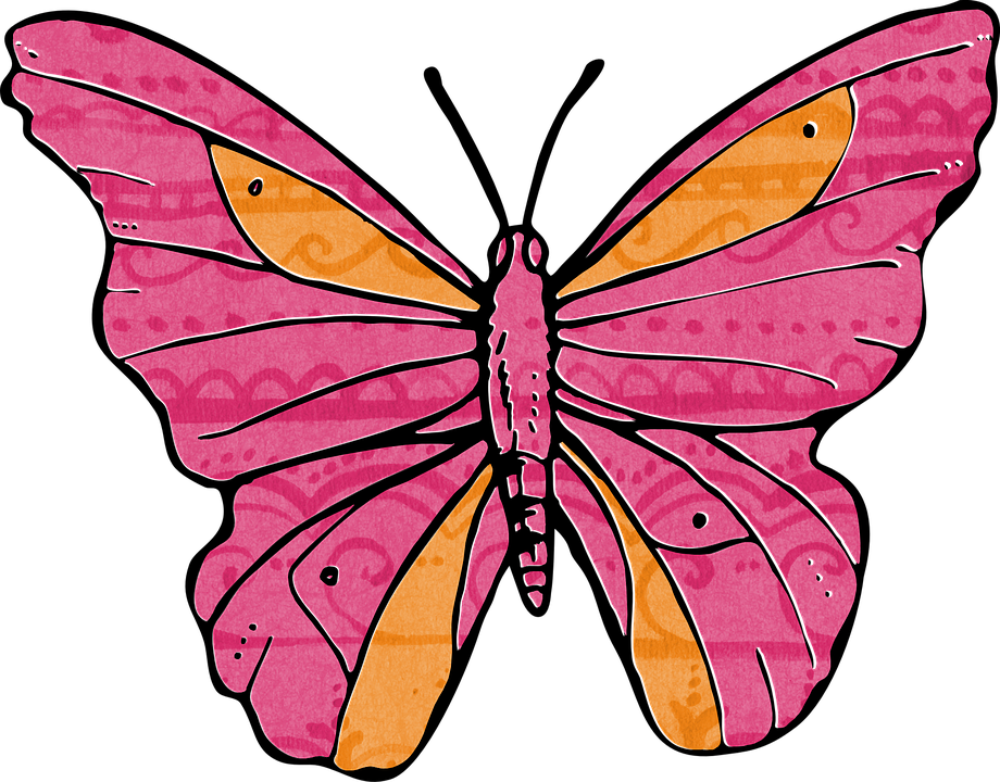 Orange And Pink Butterflies Clipart (920x720), Png Download