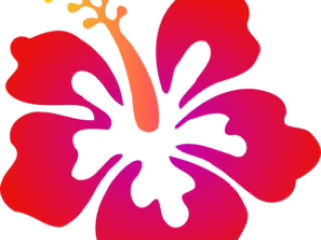 Background Clipart Hibiscus - Hibiscus Clip Art - Png Download (640x480), Png Download