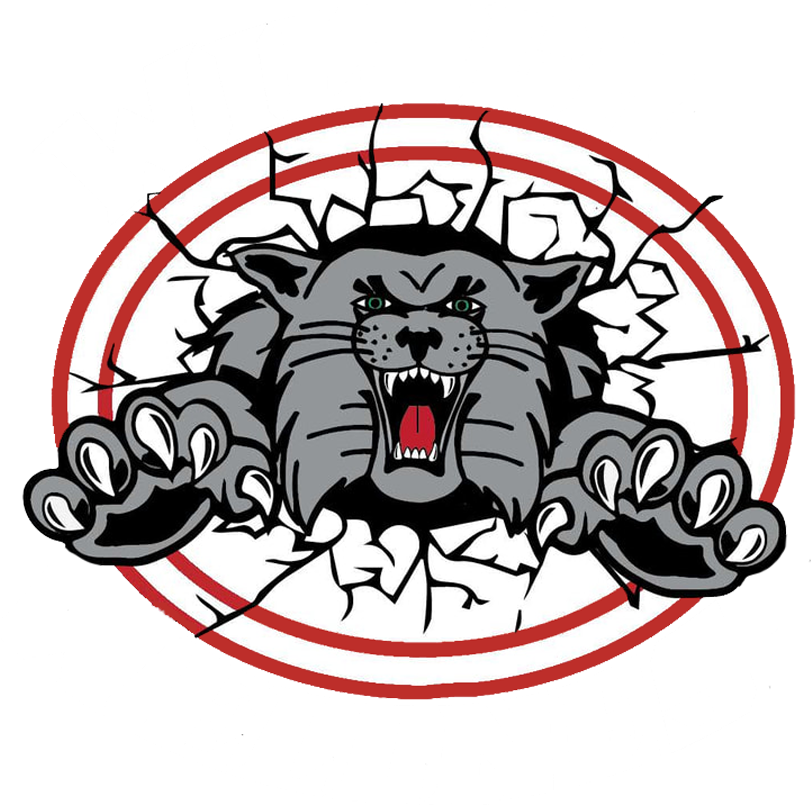 Canton South Wildcats - Canton South Wildcats Logo Clipart (850x850), Png Download