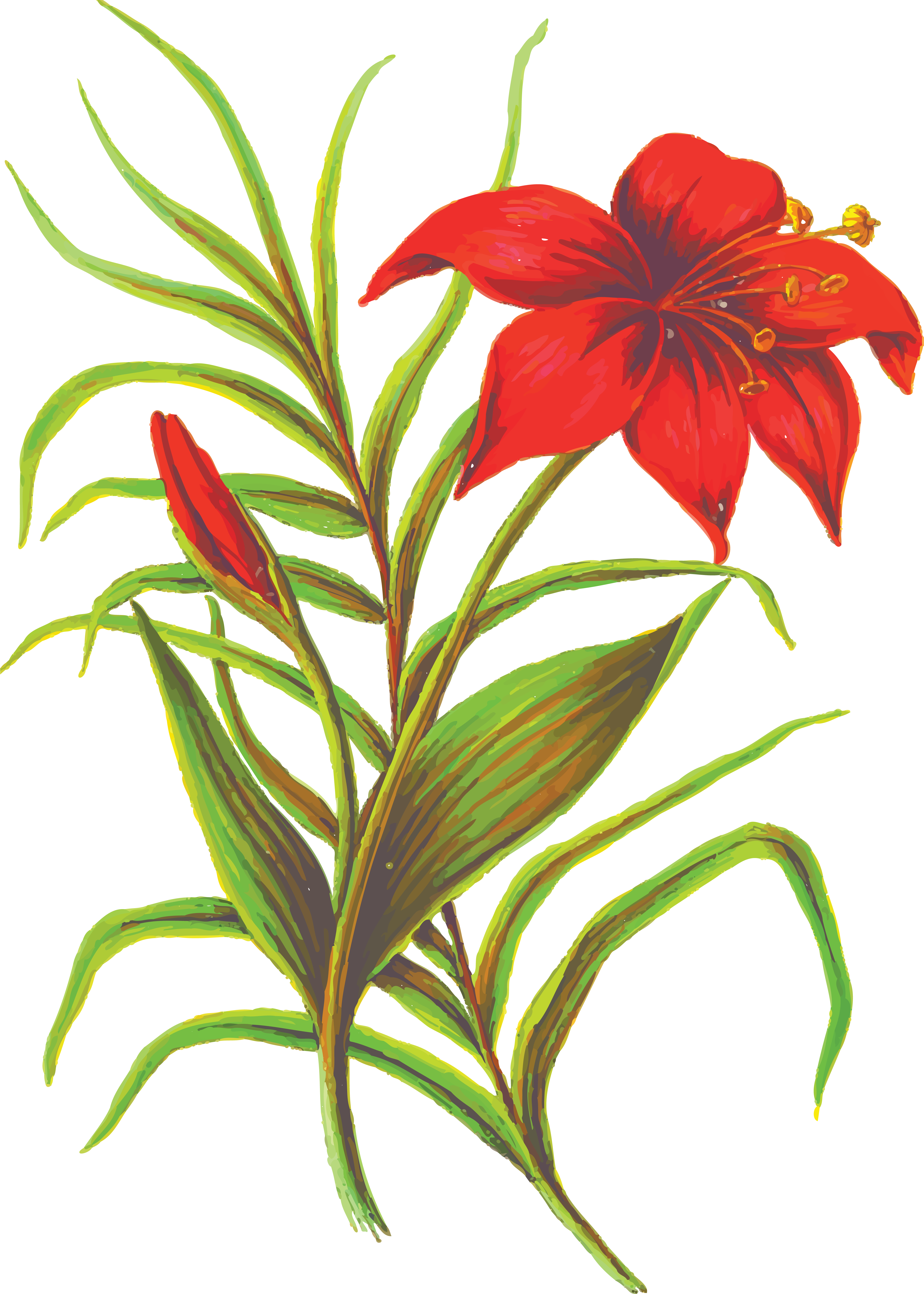 Lily Clipart Resurrection - Red Flower Design Large Tote Bag, Adult Unisex, Natural, - Png Download (4000x5601), Png Download