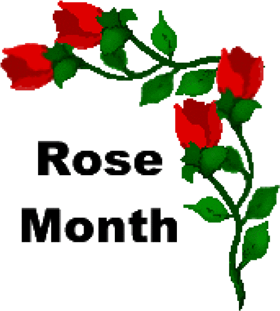 Red Rose Clipart Divider - Red Rose Clip Art - Png Download (640x672), Png Download